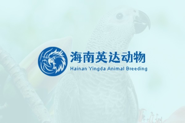 海南英達(dá)動物養(yǎng)殖有限公司