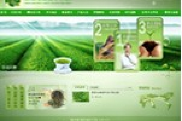 澄邁萬昌苦丁茶場(chǎng)